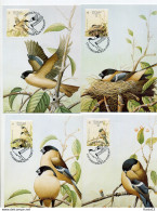A45194)WWF-Maximumkarte Vogel: Azoren 405 - 408 - Maximumkarten