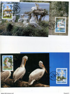 A45196)WWF-Maximumkarte Vogel: Rumaenien 4104 - 4107 - Maximum Cards