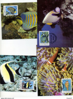A45209)WWF-Maximumkarte Fische: Malediven 1198 - 1201 - Maximum Cards