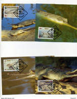 A45216)WWF-Maximumkarte Reptilien: Bangladesch 323 - 326 - Maximum Cards