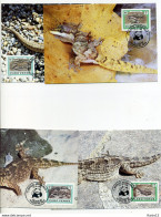 A45219)WWF-Maximumkarte Reptilien: Kap Verde 500 - 503 - Maximumkarten