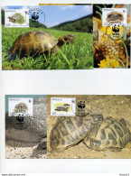 A45221)WWF-Maximumkarte Reptilien: Monaco 2046 - 2049 - Maximum Cards