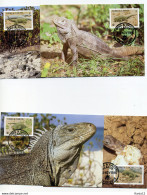 A45227)WWF-Maximumkarte Reptilien: Turks + Caicos-Inseln 777 - 780 - Maximumkarten