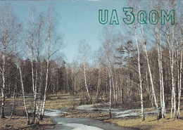 AK 185196 QSL - USSR - Radio Amateur