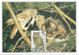 Carte Maximum - Oiseaux - Belgique - Bufo Pequeno Coruja - Hibou Moyen-duc - Long-eared Owl - Asio Otus - 1991-2000