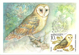Carte Maximum - Oiseaux - Russie Russia - Coruja Das Torres - Chouette Effraie - Barn Owl - Tyto Alba - Maximumkaarten