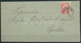 1873 Réznyomat 5kr Levél Előlapon "JÁKÓHALMA" - Eger - Other & Unclassified