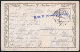 1918 Tábori Posta Képeslap "M.kir. 23. Honvéd Gyalog Ezred" + "TP 290" - Otros & Sin Clasificación