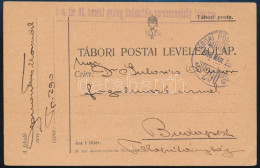 1918 Tábori Posta Levelezőlap "A M. Kir. 38. Honvéd Gyalog Hadosztály Parancsnokság Bírósága" + "TP 290" - Sonstige & Ohne Zuordnung