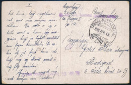 1918 Tábori Posta Képeslap "M. Kir. 24. Honvéd Gyalogezred" + "TP 290" - Otros & Sin Clasificación