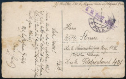 1918 Tábori Posta Képeslap "S.M. Schiff Hippos" - Other & Unclassified