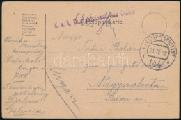 1918 Tábori Posta Levelezőlap "K.u.k. Quarantainestation Dolina" + "EP 144 B" - Other & Unclassified