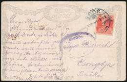 1919 Cenzúrás Képeslap Károly 10f Bérmentesítéssel "BROD" - Csonoplya - Otros & Sin Clasificación