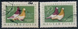 O 1957 Magyarországi Galambfajták 30f A Barna Szín Látványosan Fölfelé Tolódott + Támpéldány / Mi 1505 Shifted Brown Col - Altri & Non Classificati