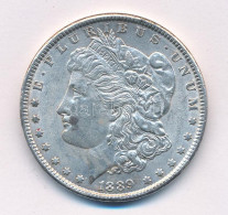 Amerikai Egyesült Államok 1889. 1$ Ag "Morgan" Kapszulában T:XF Patina, Ph. USA 1889. 1 Dollar Ag "Morgan" In Capsule C: - Sin Clasificación