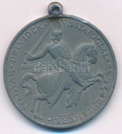 1941. "Délvidéki Emlékérem" Zn Emlékérem. Szign.: BERÁN L. T:XF,VF Cserélt Fül Hungary 1941. "Commemorative Medal For Th - Sin Clasificación