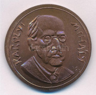 Ifj. Szlávics László (1959-) DN "Károlyi Mihály / Emlékül A Magyar Honvédségtől" Nem Eredeti Műanyag Tokban (39mm) T:1- - Ohne Zuordnung