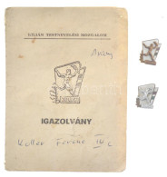 1966. "Kilián Testnevelési Mozgalom" 2 Darab Zománcozott Bronz Kitűző Hozzá Tartozó Igazolvánnyal (16x11mm) T:2 Egyik Tű - Unclassified