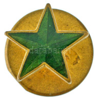 Német Birodalom DN "Zöld Csillag" Zománcozott Bronz Gomblyukjelvény "Glaser & Sohn, Dresden" Gyártói Jelzéssel (~15mm) T - Unclassified