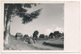 * T2 Aranyosfő, Scarisoara; Látkép / General View. Photo - Zonder Classificatie