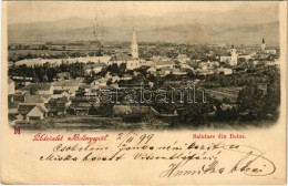 T2/T3 1899 (Vorläufer) Belényes, Beius; Látkép / General View (EK) - Unclassified