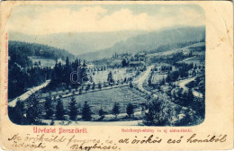 * T3 1901 Borszék, Borsec; Széchenyi Sétány és új Sáros Fürdő. Soós Kiadása / Promenade And Spa (EB) - Non Classés