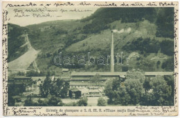 T2/T3 1931 Brád, Uzinele De Stampare A Soc. "Mica" / Nyomdaüzem, Gyár / Factory, Printing Plant (EK) - Sin Clasificación