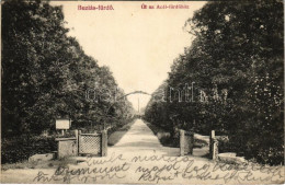 T2/T3 1907 Buziás-fürdő, Baile Buzias; út Az Acél Fürdőhöz. Francz Testvérek Kiadása / Street To The Spa (EK) - Unclassified
