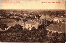 T2/T3 1911 Világos, Siria; Látkép Madártávlatból. Kerpel Izsó Kiadása / General View (EK) - Non Classificati