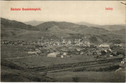 T2 1911 Breznóbánya, Brezno Nad Hronom; Látkép. Özv. Fried Mórné Kiadása / General View - Unclassified