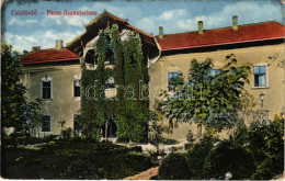 * T2/T3 1917 Csíz, Csízfürdő, Kúpele Cíz; Pazar Szanatórium. Herskovits Mór Kiadása / Sanatorium (EK) - Sin Clasificación