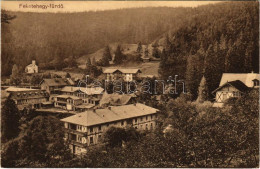 T2/T3 1911 Feketehegyfürdő, Feketehegy, Cernohorské Kúpele (Merény, Vondrisel, Nálepkovo); Nyaralók / Villas - Ohne Zuordnung