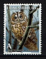 Luxembourg 1999 - YT 1416 - Fauna, Oiseaux, Chouette, Eule, Owl, Uil - Usados