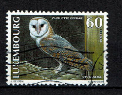 Luxembourg 1999 - YT 1418 - Fauna, Oiseaux, Chouette, Eule, Owl, Uil - Usati