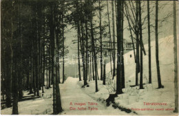 T2/T3 1914 Tátralomnic, Tatranská Lomnica (Tátra, Magas-Tátra, Vysoké Tatry); A Palota Szállóhoz Vezető Sétaút Télen / R - Ohne Zuordnung