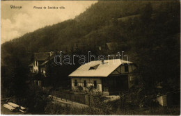 T2 1912 Vihnye, Vihnyefürdő, Kúpele Vyhne; Pinusz és Szokács Villa. Joerges Kiadása / Villas - Sin Clasificación