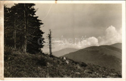 T2/T3 1943 Tiszaborkút, Kvaszi, Kvasy; Kilátás A Mencsulról A Sesulra és A Pietroszra. Mosdóssy Endre Felvétele / Mounta - Non Classés