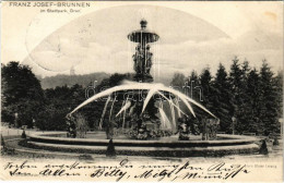 T2/T3 1903 Graz, Franz Josef-Brunnen Im Stadtpark (EK) - Non Classés