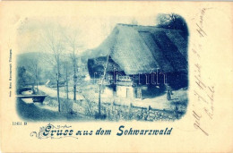 * T2/T3 1899 Triberg, Schwarzwald, Homestead - Ohne Zuordnung