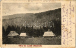 T3/T4 1913 Muntele Manaileasa, Stana / Mountain Rest Houses (wet Damage) - Ohne Zuordnung