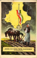 ** T2/T3 Hiszek Egy Isteni örök Igazságban. Hiszekegy. Kiadja Az Ereklyés Országzászló Nagybizottsága / Hungarian Irrede - Ohne Zuordnung