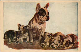 ** T2/T3 French Bulldogs / Francia Bulldogok. Rekord Kiadása - Zonder Classificatie