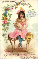 T2/T3 New Year, Lady, Pig, Floral, Litho (EK) - Zonder Classificatie