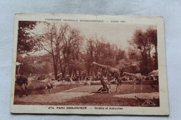 Paris 75, Parc Zoologique, Girafes Et Autruches, Animaux - Giraffes