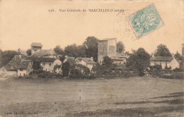 Naucelles * Vue Générale Sur La Commune - Andere & Zonder Classificatie