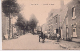 Cpa Libramont    Attelage   1919 - Libramont-Chevigny