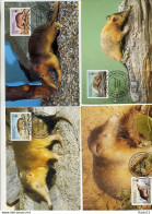 A41364)WWF-Maximumkarte Saeuegetiere: Dom. Rep. 1698 - 1701 - Cartes-maximum