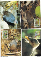 A41695)WWF-Maximumkarte Vogel: Niuafo` Ou 233 - 236 - Maximum Cards