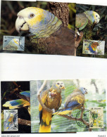 A45200)WWF-Maximumkarte Vogel: St. Vincent 1222 - 1225 - Maximum Cards