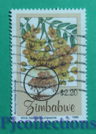 S840- ZIMBABWE 1996 PIANTE E FIORI - PLANTS AND FLOWERS $2,20 USATO - USED - Zimbabwe (1980-...)